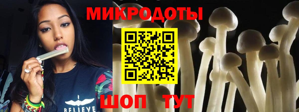 Галлюциногенные грибы Cubensis Всеволожск